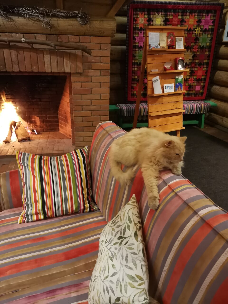 Гостиница Бобровая долина Ижевск-27