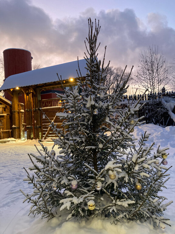 Гостиница Бобровая долина Ижевск-131