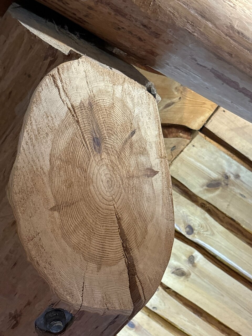 Гостиница Бобровая долина Ижевск-236