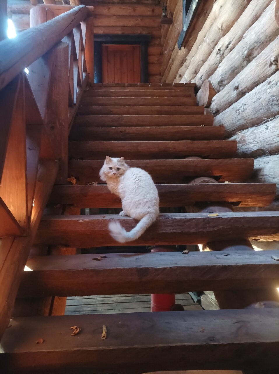 Гостиница Бобровая долина Ижевск-180