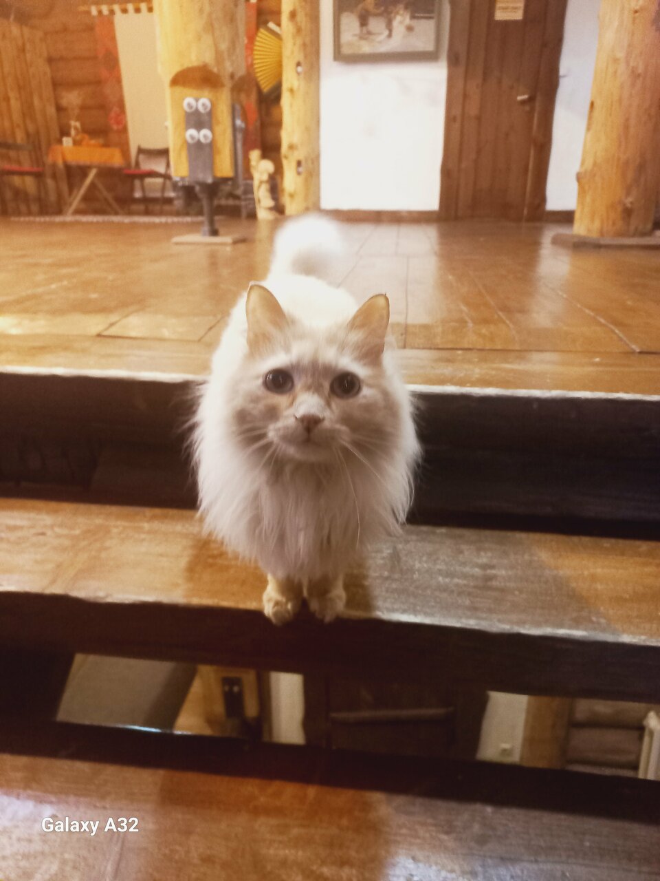 Гостиница Бобровая долина Ижевск-198