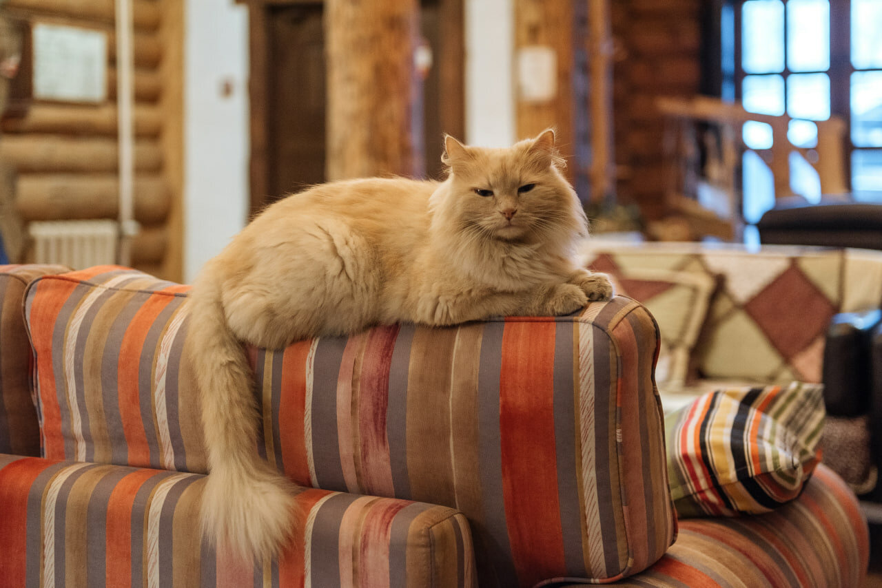 Гостиница Бобровая долина Ижевск-9