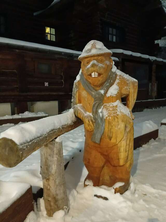 Гостиница Бобровая долина Ижевск-156