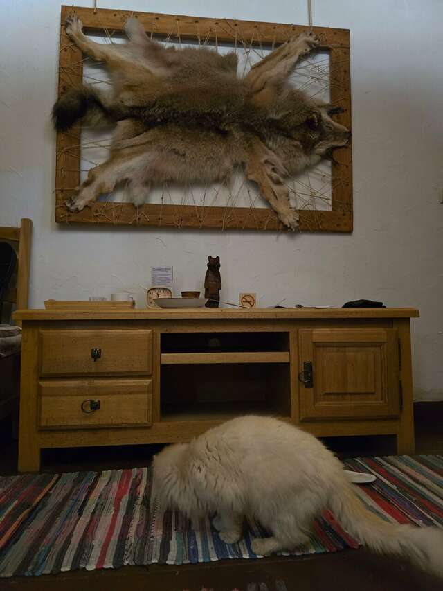 Гостиница Бобровая долина Ижевск-161