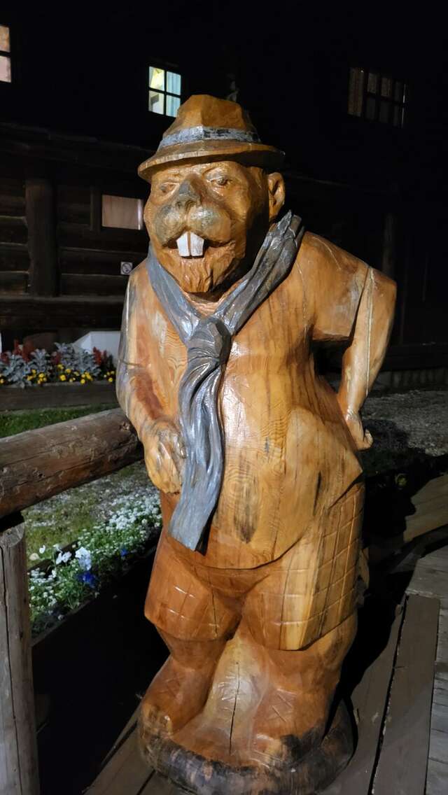 Гостиница Бобровая долина Ижевск-184