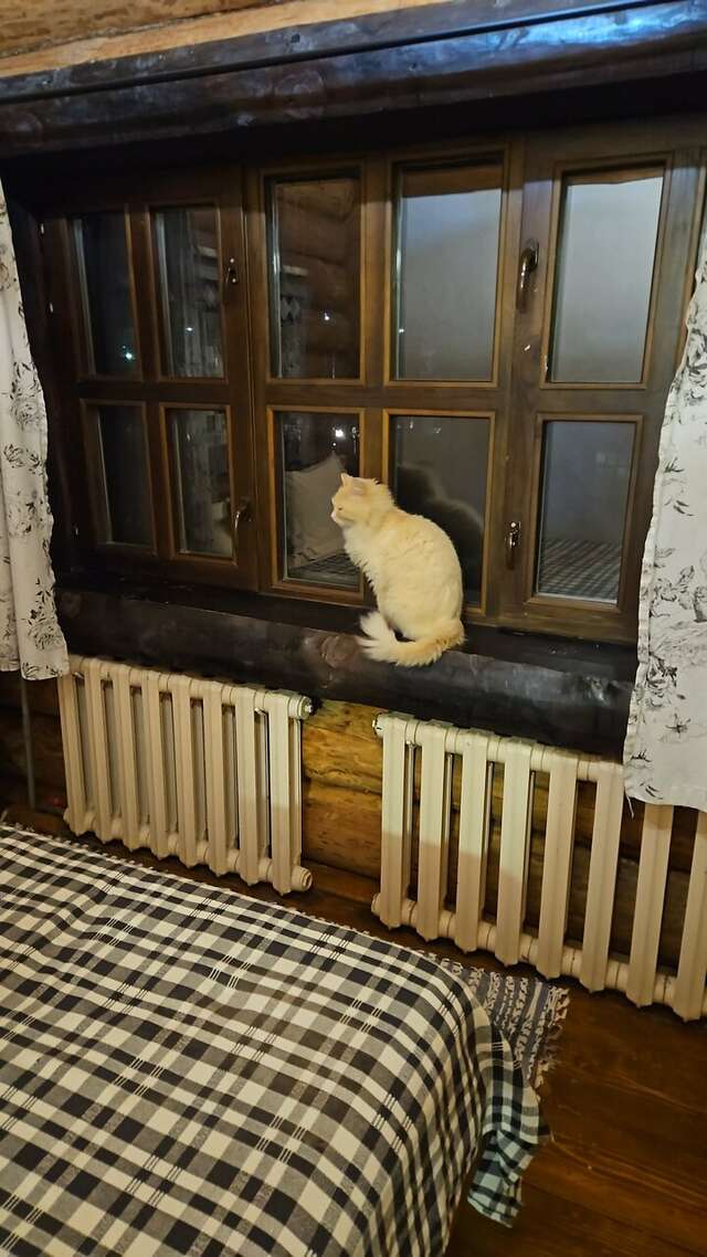 Гостиница Бобровая долина Ижевск-227