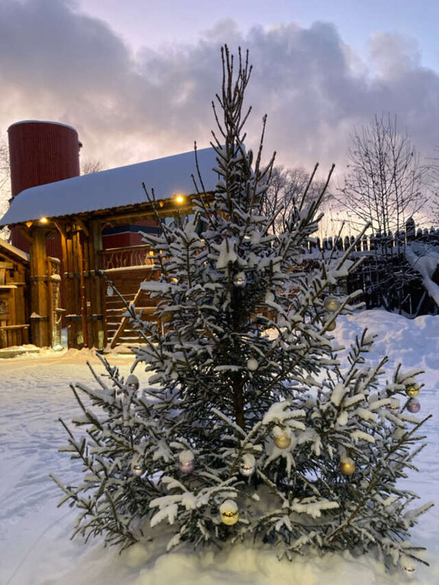 Гостиница Бобровая долина Ижевск-130
