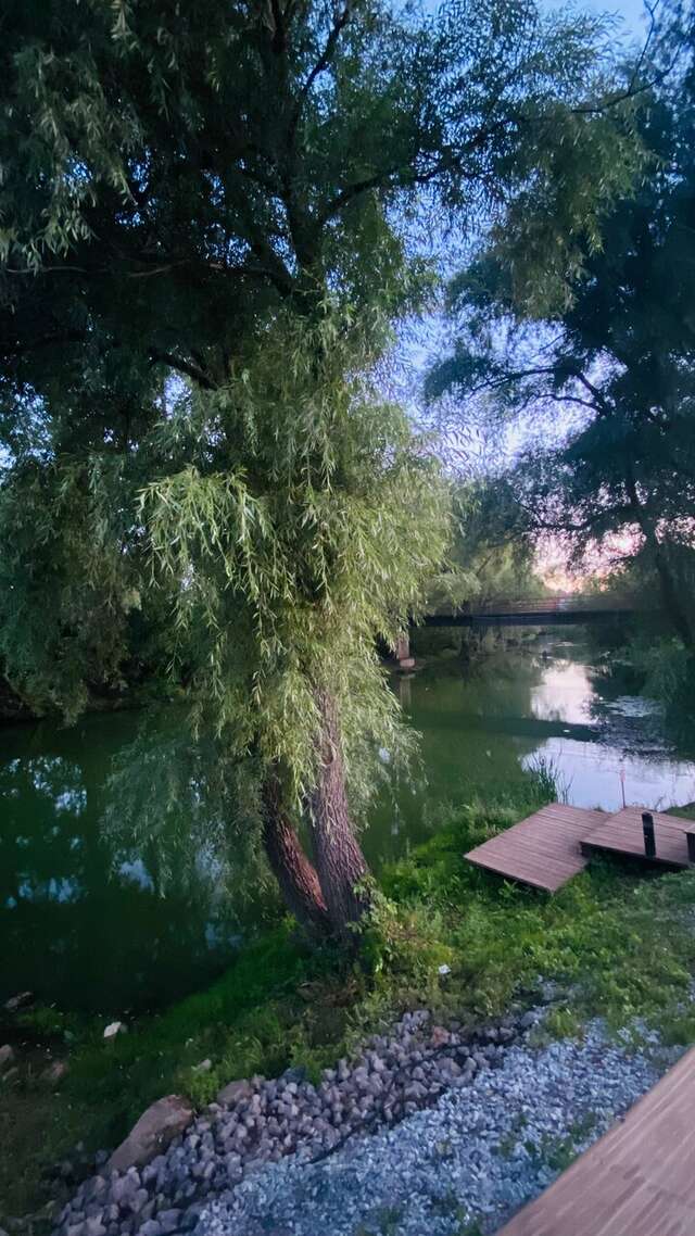 Гостиница Бобровая долина Ижевск-250