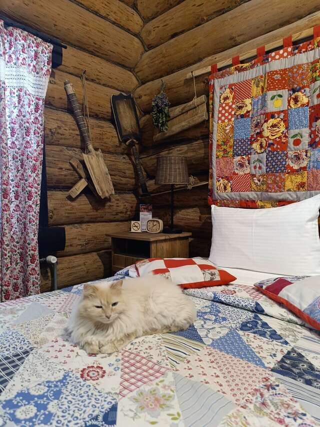 Гостиница Бобровая долина Ижевск-242