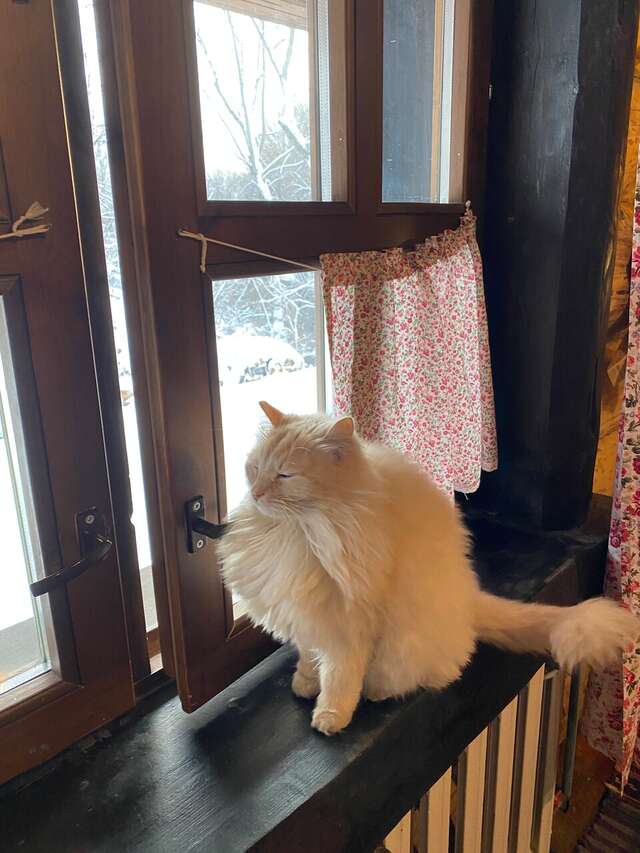 Гостиница Бобровая долина Ижевск-100